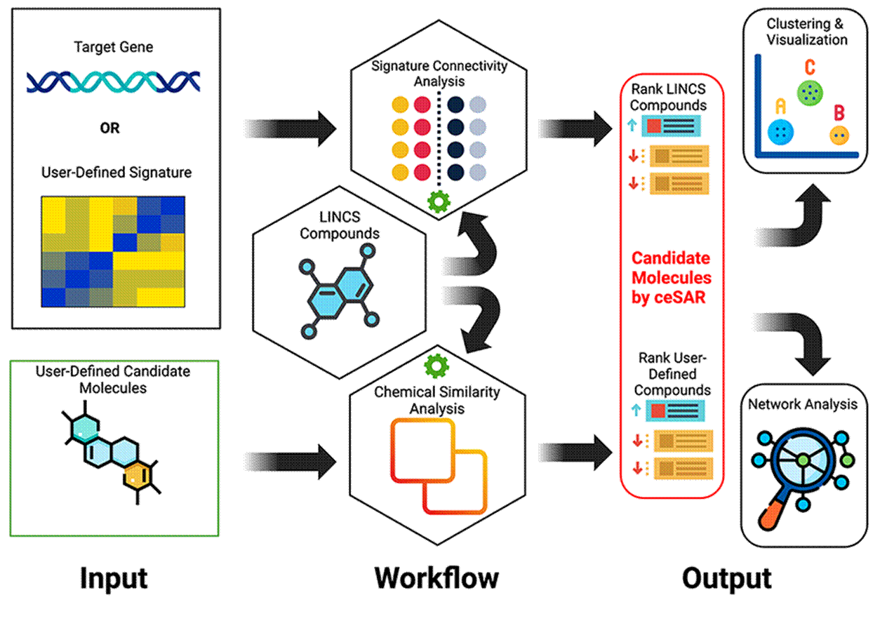 A diagram of a process

Description automatically generated